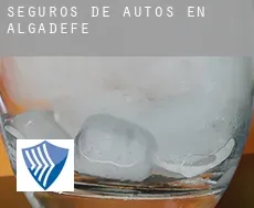 Seguros de autos en  Algadefe