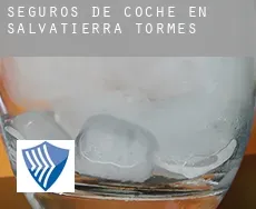 Seguros de coche en  Salvatierra de Tormes