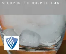 Seguros en  Hormilleja