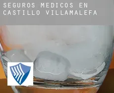 Seguros medicos en  Castillo de Villamalefa