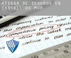 Asesor de seguros en  Castell de Mur
