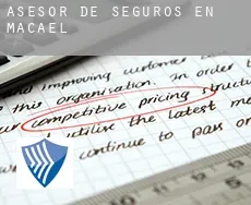 Asesor de seguros en  Macael