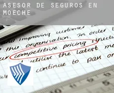 Asesor de seguros en  Moeche
