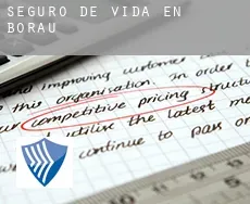 Seguro de vida en  Borau