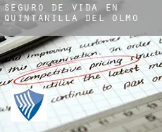 Seguro de vida en  Quintanilla del Olmo