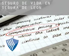 Seguro de vida en  Segura de León