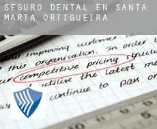 Seguro dental en  Santa Marta de Ortigueira