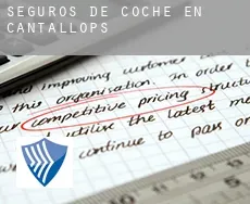 Seguros de coche en  Cantallops