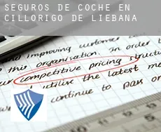 Seguros de coche en  Cillorigo de Liébana
