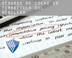 Seguros de coche en  Torrecilla del Rebollar