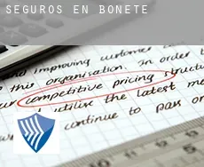 Seguros en  Bonete