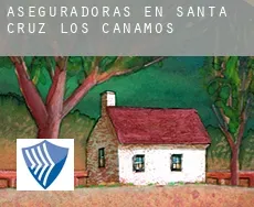 Aseguradoras en  Santa Cruz de los Cáñamos