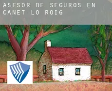 Asesor de seguros en  Canet lo Roig