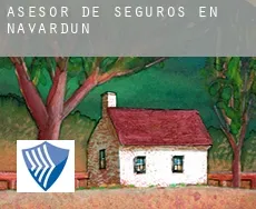 Asesor de seguros en  Navardún