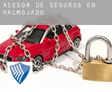 Asesor de seguros en  Valmojado