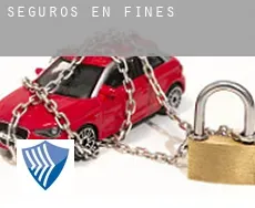 Seguros en  Fines