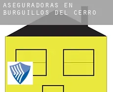 Aseguradoras en  Burguillos del Cerro