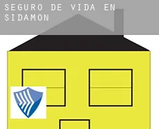 Seguro de vida en  Sidamon