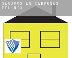 Seguros en  Cebrones del Río