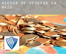 Asesor de seguros en  Mazo