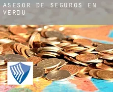Asesor de seguros en  Verdú