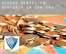 Seguro dental en  Hontoria de la Cantera