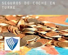 Seguros de coche en  Turre