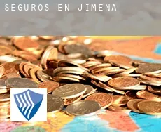 Seguros en  Jimena