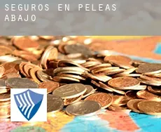 Seguros en  Peleas de Abajo