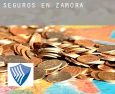 Seguros en  Zamora