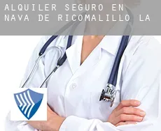Alquiler seguro en  Nava de Ricomalillo (La)