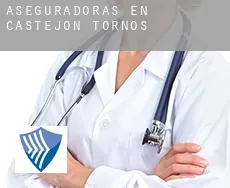 Aseguradoras en  Castejón de Tornos