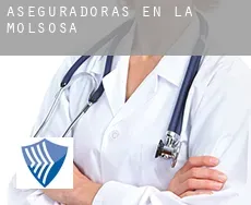 Aseguradoras en  la Molsosa