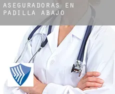Aseguradoras en  Padilla de Abajo