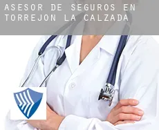 Asesor de seguros en  Torrejón de la Calzada