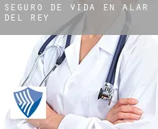 Seguro de vida en  Alar del Rey