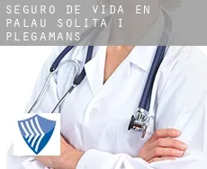 Seguro de vida en  Palau-solità i Plegamans