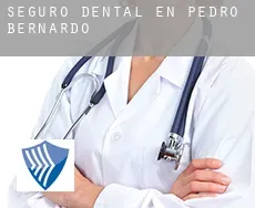 Seguro dental en  Pedro Bernardo
