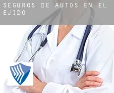 Seguros de autos en  El Ejido
