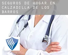 Seguros de hogar en  Calzadilla de los Barros