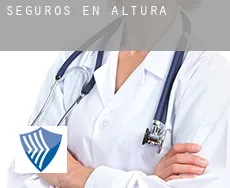 Seguros en  Altura