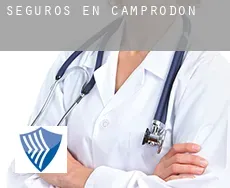 Seguros en  Camprodon
