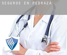 Seguros en  Pedraza