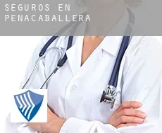 Seguros en  Peñacaballera