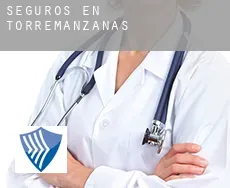 Seguros en  Torremanzanas / Torre de les Maçanes