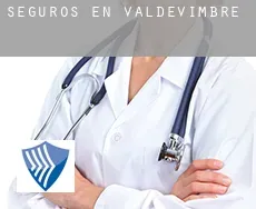 Seguros en  Valdevimbre