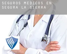 Seguros medicos en  Segura de la Sierra