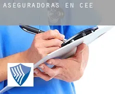 Aseguradoras en Cee