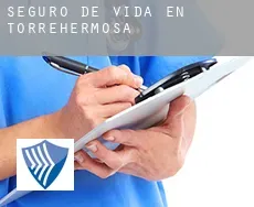 Seguro de vida en  Torrehermosa