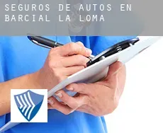 Seguros de autos en  Barcial de la Loma